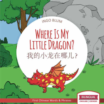 Where Is My Little Dragon?