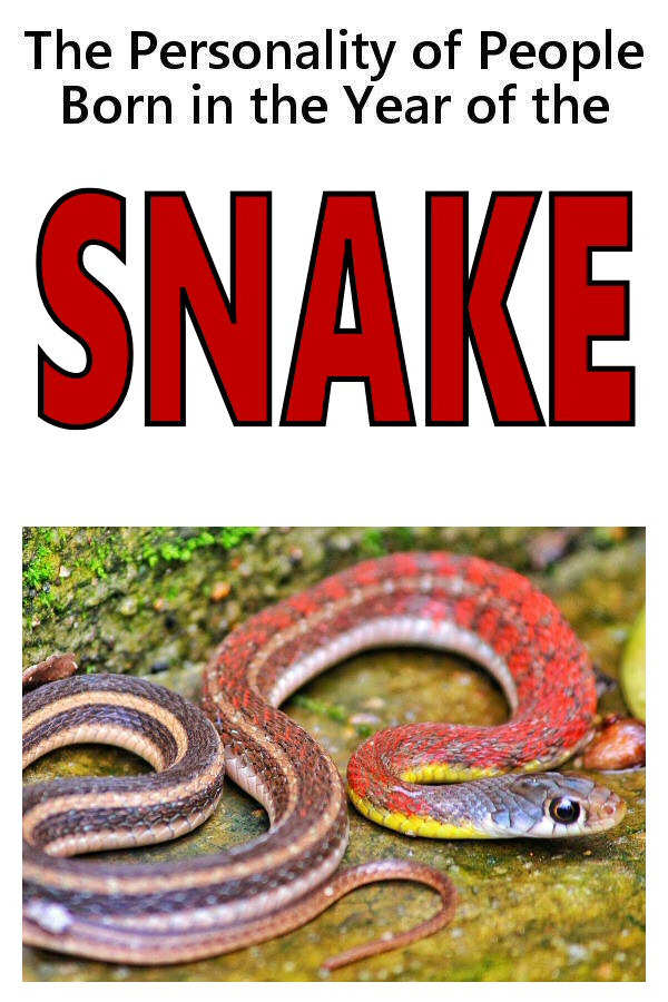 The Personality of People Born in the Year of the Snake
