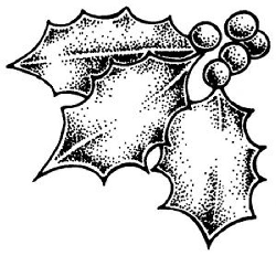 Holly Colouring Picture - free printable