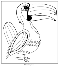 Toucan Colouring Picture