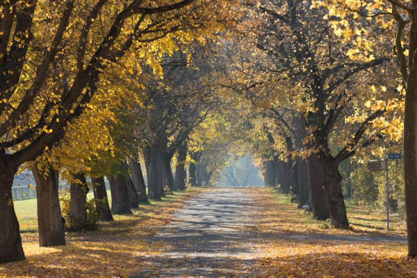 Autumn Outdoor Activities For Kids