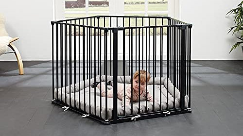 Baby Dan Playpen Review