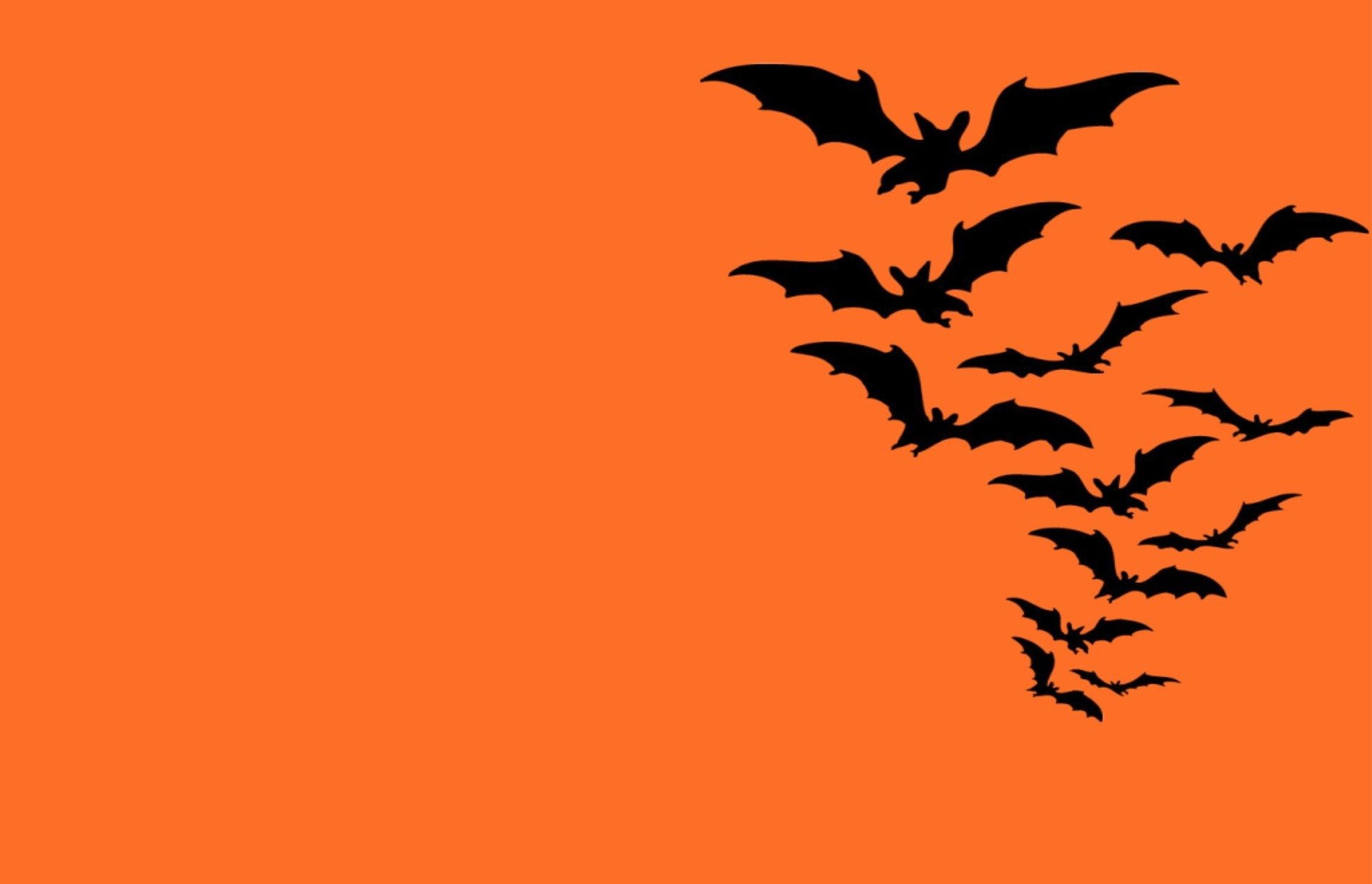 Halloween bats on an orange background