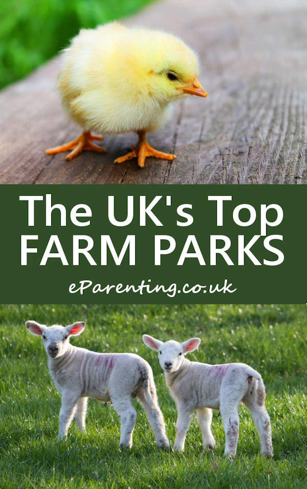 The UK's Top Farm Parks - Where to see farm animals close up in the UK