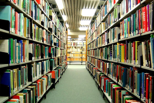 Bookshelves in the Library