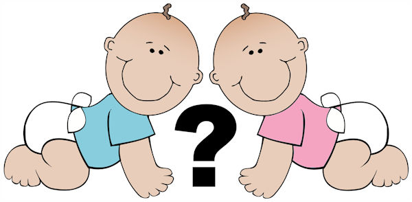 Chinese Gender Predictor Calculator