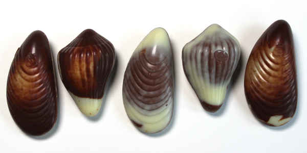 Belgian Chocolate Shells