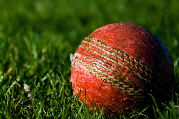 Cricket Wordsearch