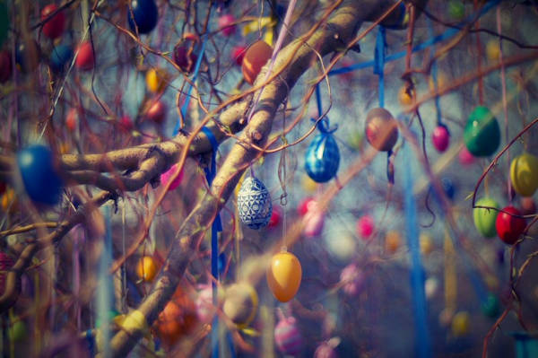 Easter eggs hanging on a tree