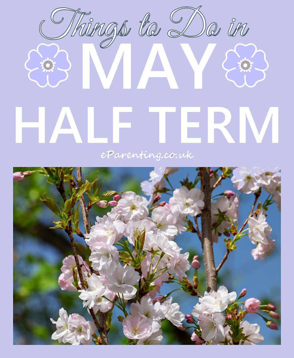 Things to Do for May Half Term 2025
