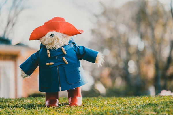 Paddington Wordsearch
