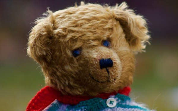 The Class Teddy - the uninvited weekend guest