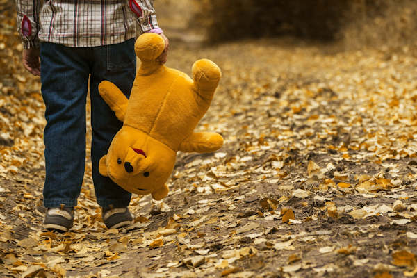 Winnie The Pooh
