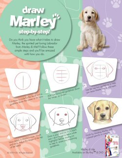 Learn How To Draw Marley!